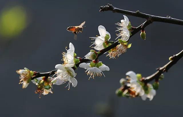 微信图片_20180314150026.jpg 微信图片_20180314150026.jpg