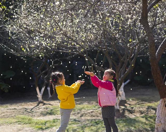 微信图片_20180314150046.jpg 微信图片_20180314150046.jpg