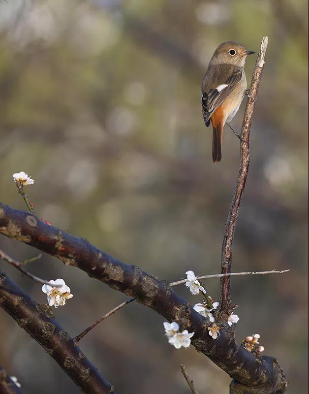 微信图片_20180314150140.jpg 微信图片_20180314150140.jpg