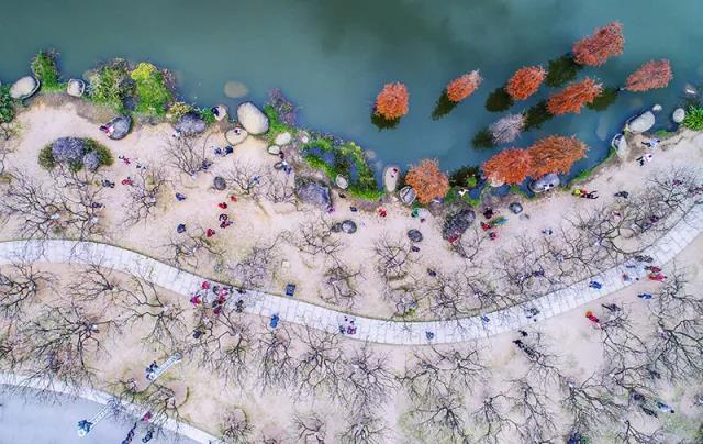 微信图片_20180314150147.jpg 微信图片_20180314150147.jpg