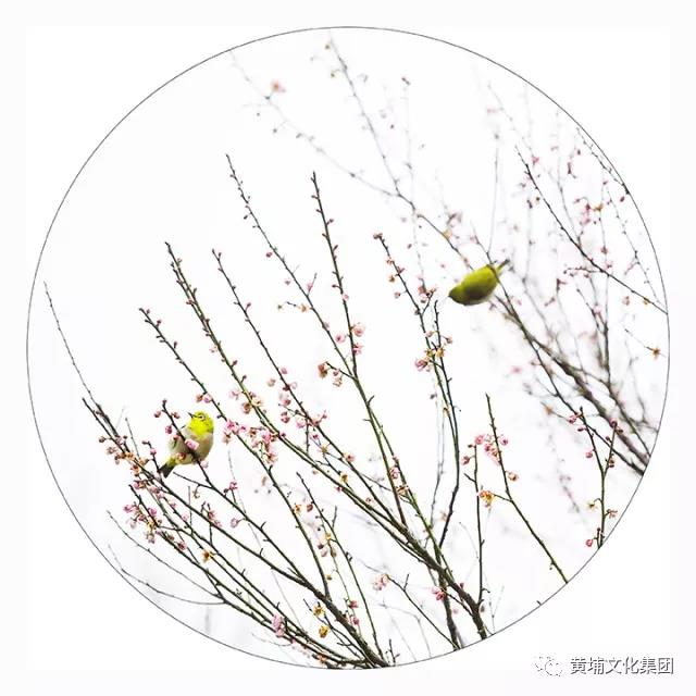 微信图片_20180314150304.jpg 微信图片_20180314150304.jpg