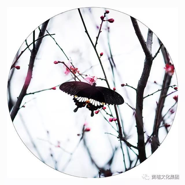 微信图片_20180314150309.jpg 微信图片_20180314150309.jpg