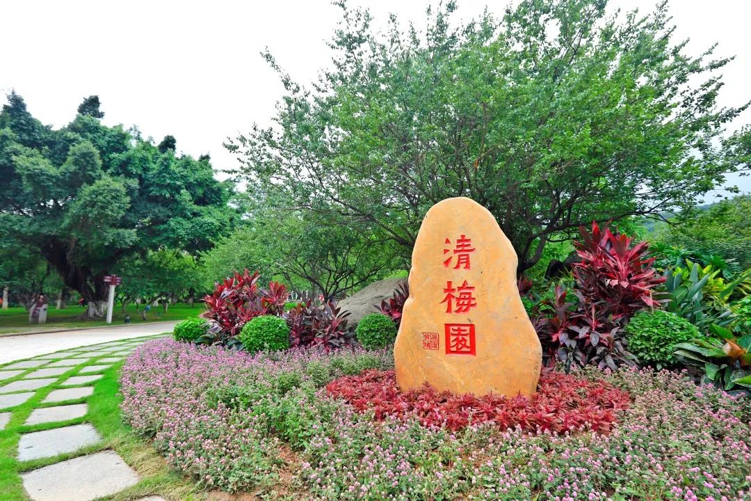 微信图片_20210702093536.jpg 微信图片_20210702093536.jpg