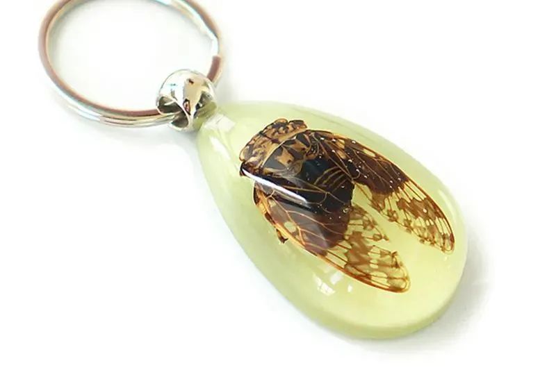 微信图片_20210707111658.jpg 微信图片_20210707111658.jpg