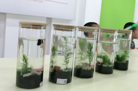 微信图片_20210707111734.png 微信图片_20210707111734.png