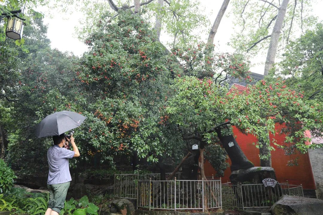 微信图片_20210712151903.jpg 微信图片_20210712151903.jpg