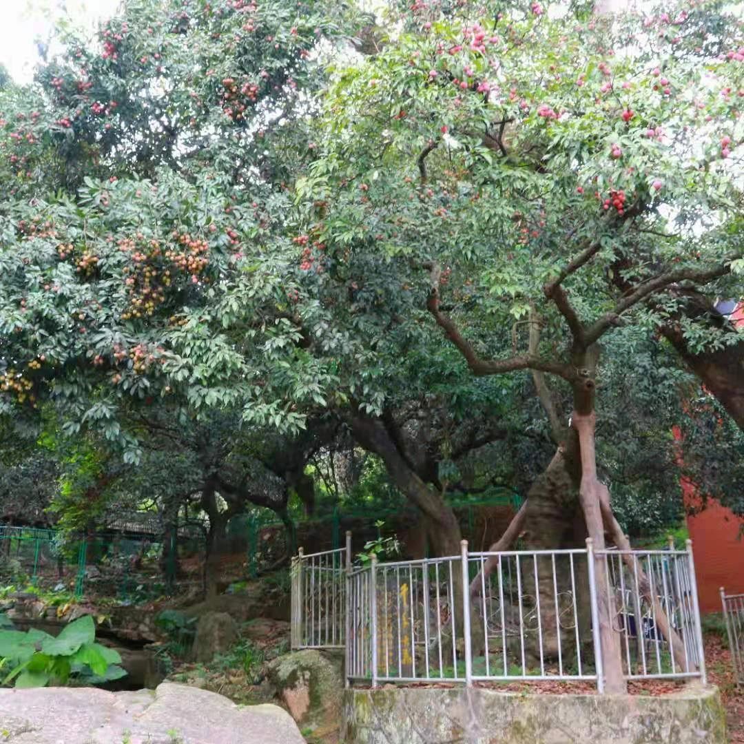 微信图片_20210712151907.jpg 微信图片_20210712151907.jpg