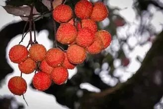 微信图片_20210712151915.jpg 微信图片_20210712151915.jpg