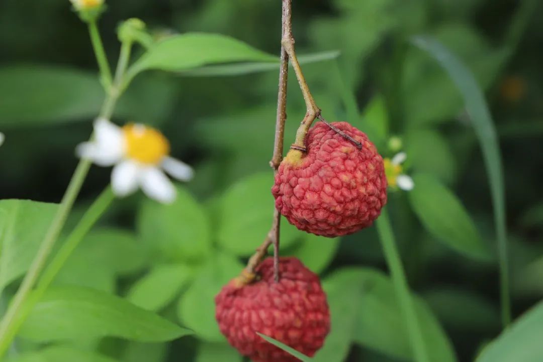 微信图片_20210712151923.jpg 微信图片_20210712151923.jpg