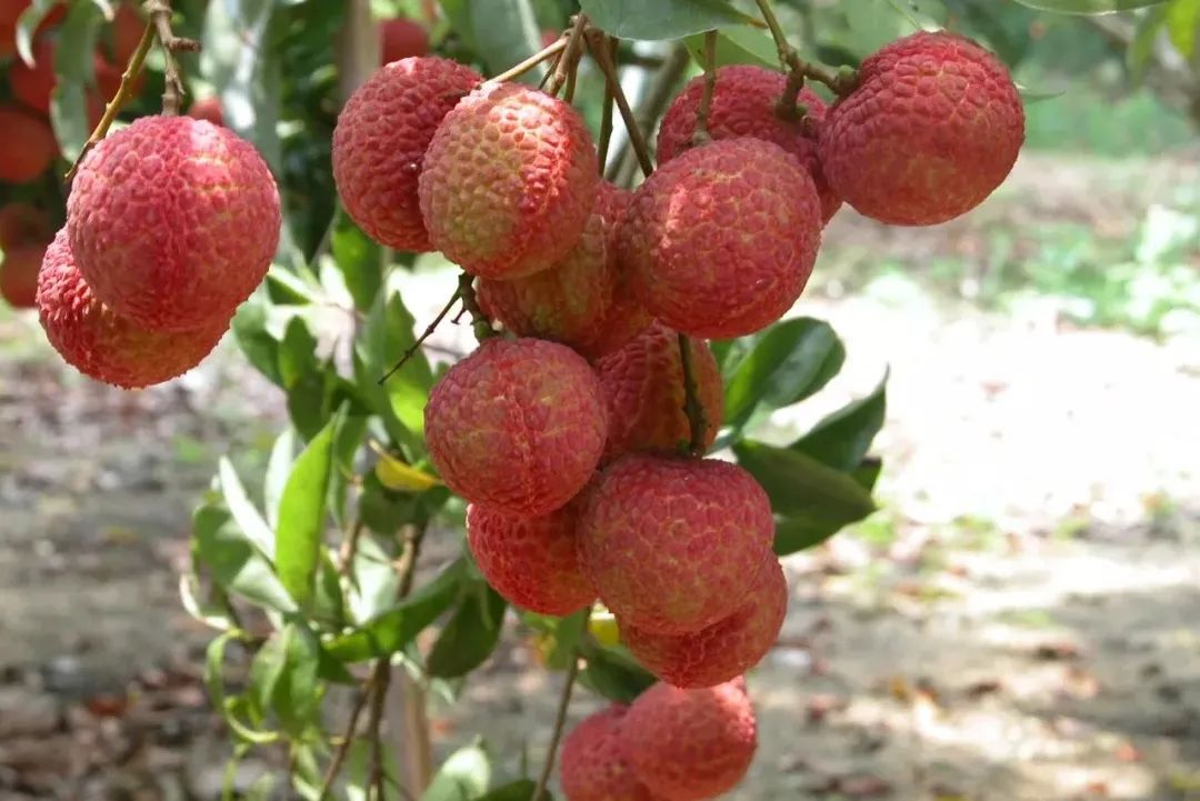 微信图片_20210712151919.jpg 微信图片_20210712151919.jpg