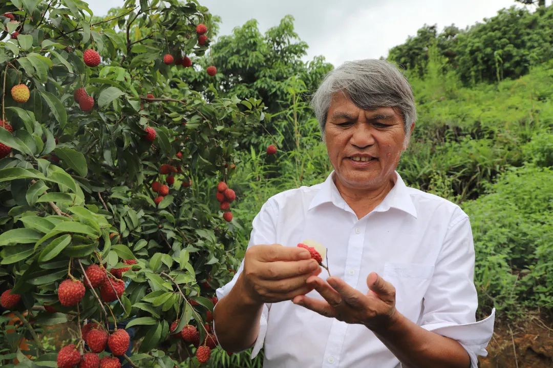 微信图片_20210712151931.jpg 微信图片_20210712151931.jpg