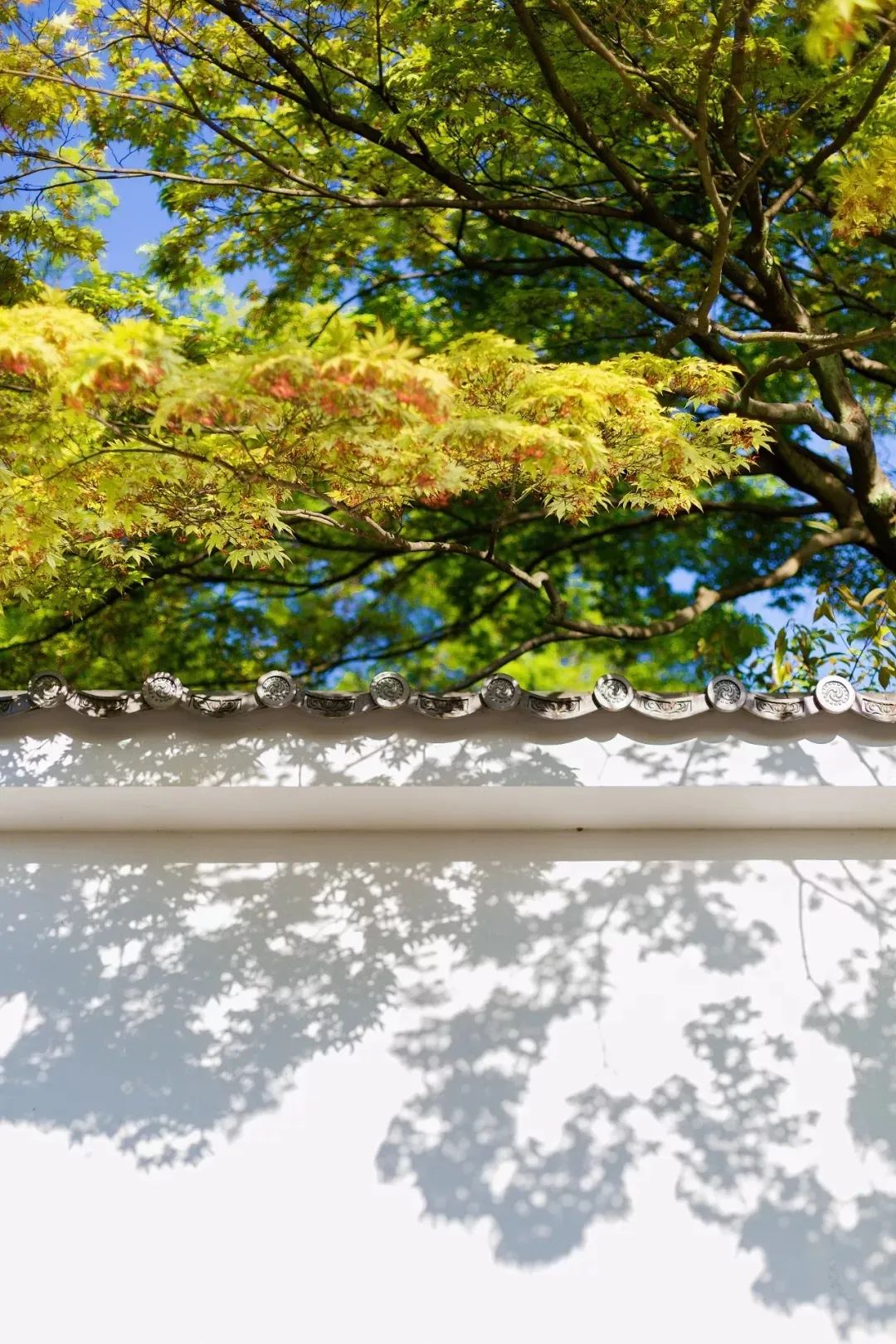 微信图片_20210813093628.jpg 微信图片_20210813093628.jpg