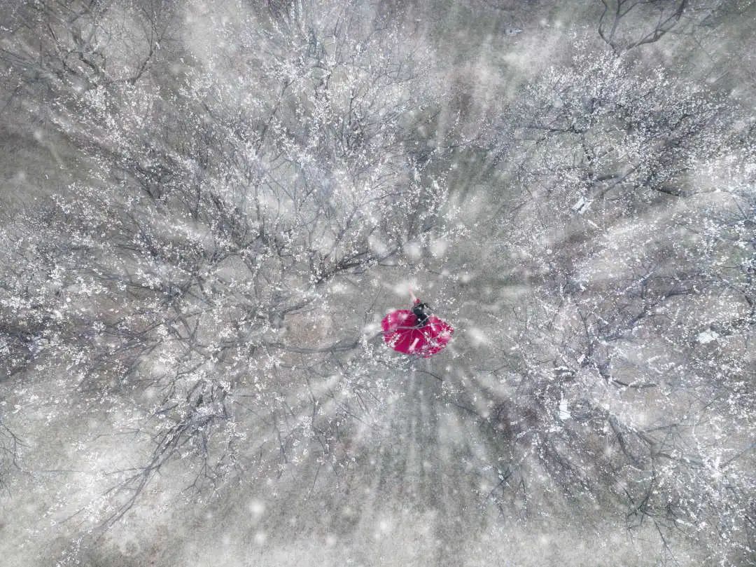 微信图片_20210813093648.jpg 微信图片_20210813093648.jpg